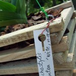 cestino_legno_p_10