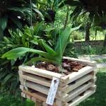 cestino_legno_p_9