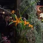 DSCF2814_1