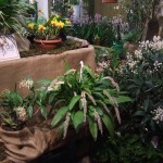 DSCF2822_1