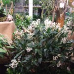 DSCF2828_1