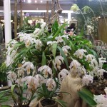 DSCF2830_1