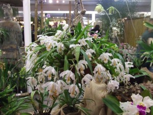 DSCF2830_1
