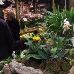 DSCF2835_1